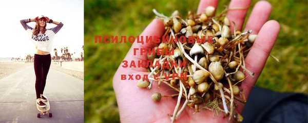 МДПВ Армянск